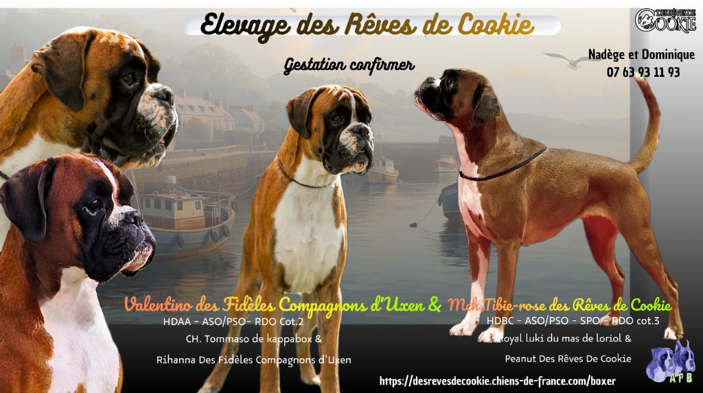 Bébé pour mi décembre 